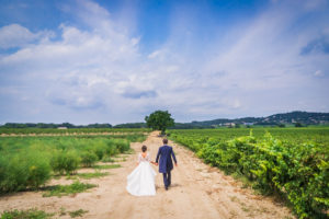 deux amoureux marchent aux milieux des vignes dans le gard