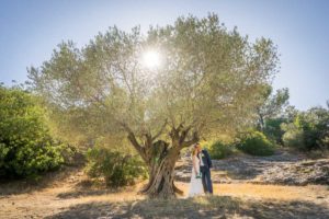 Couple en habit de mariés sous un olivier dans le gard