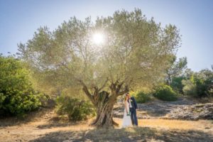 Un couple de mariés debout sous un olivier dans le parc du le Pont du Gard.